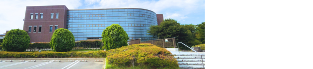 写真４